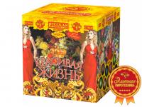 Красивая жизнь Фейерверк купить в Ессентуках | essentuki.salutsklad.ru