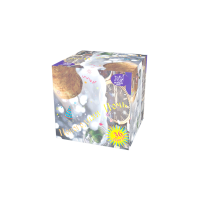 Новогодняя ночь Салют купить в Ессентуках | essentuki.salutsklad.ru