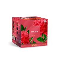 Пионы Салют купить в Ессентуках | essentuki.salutsklad.ru