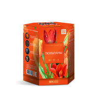 Тюльпаны Салют купить в Ессентуках | essentuki.salutsklad.ru