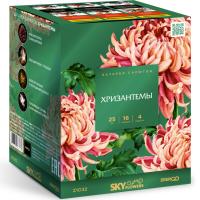 Хризантемы Фейерверк купить в Ессентуках | essentuki.salutsklad.ru