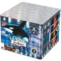 Косатка Фейерверк купить в Ессентуках | essentuki.salutsklad.ru