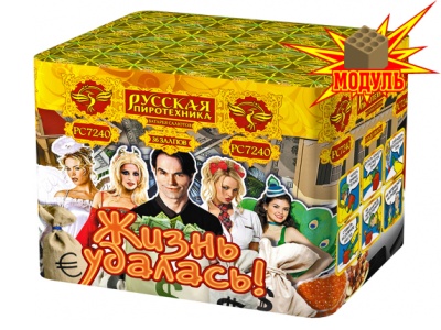 Жизнь удалась Фейерверк купить в Ессентуках | essentuki.salutsklad.ru