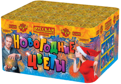 Новогодние цветы Фейерверк купить в Ессентуках | essentuki.salutsklad.ru