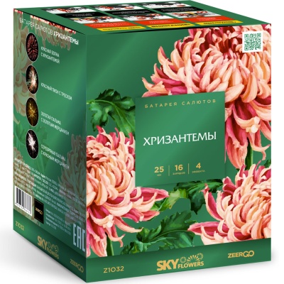 Хризантемы Фейерверк купить в Ессентуках | essentuki.salutsklad.ru