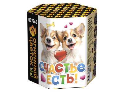 Счастье есть! Салют купить в Ессентуках | essentuki.salutsklad.ru