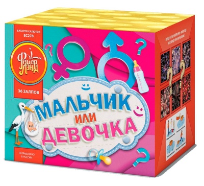 Мальчик или девочка М Фейерверк купить в Ессентуках | essentuki.salutsklad.ru